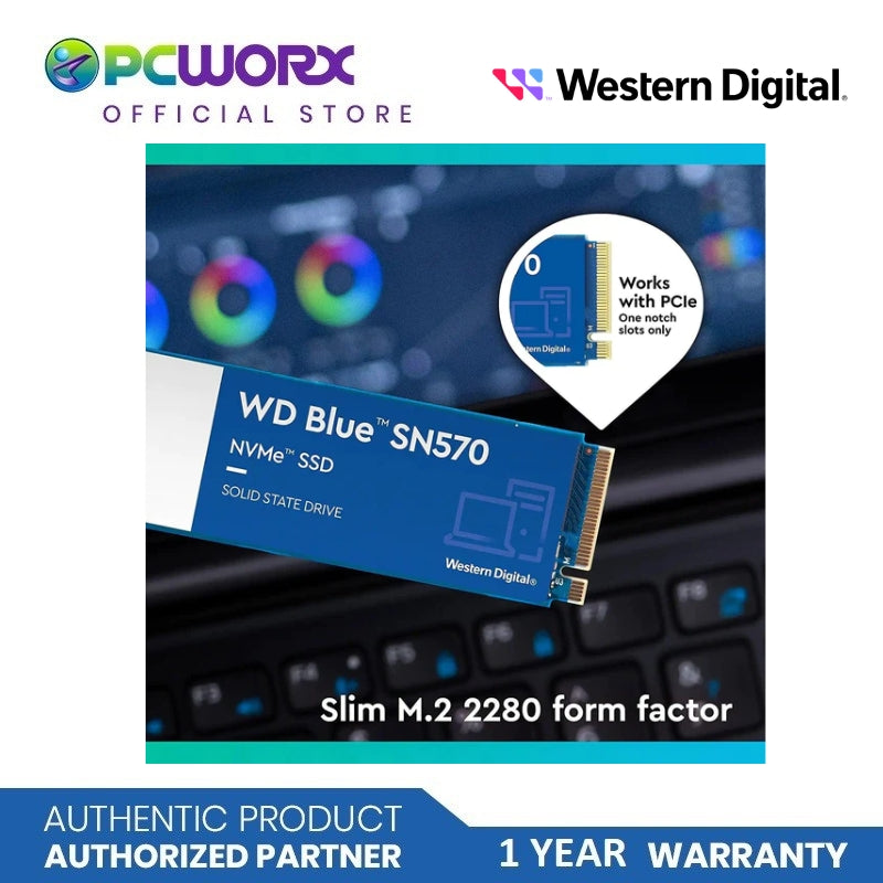 Western Digital WDS250G3B0C SN570 Blue M.2 NVMe PCIe Gen3 2280 SSD | 250GB, 500GB, 1TB | Solid State Drive | Western Digital SSD