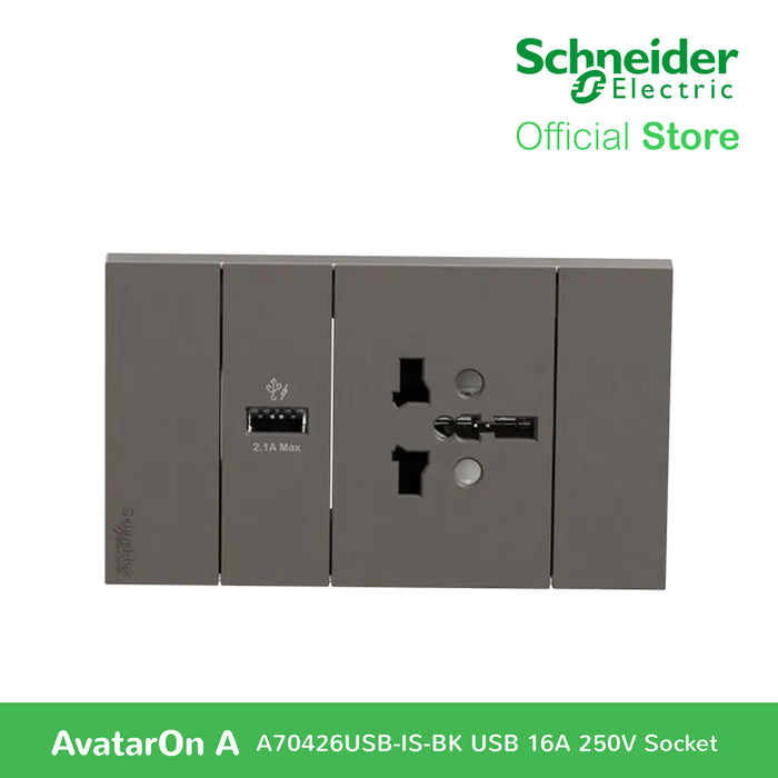 Schneider AvatarOn A 16A 250V International socket with USB charger Black A70426USB-IS-BK